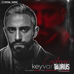 Keyvan Taurus – LajBazi